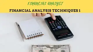 Financial Analysis Techniques 1