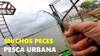 PESCA en 