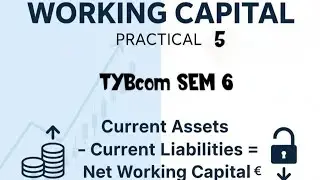 Practical 5 | Working Capital | Financial Management | Tybcom Sem 6 |