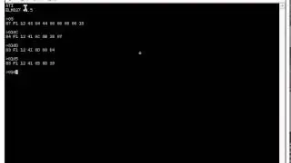 OBD-II Screen Commands on Raspberry Pi
