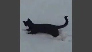 you can go outside, we'll stay here where it's warm