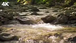 Calming Music for Mindful Recovery