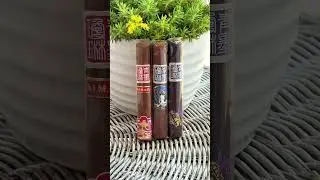 ChiMolly Cigars: The Pangu, The Dynasty, and The Pioneer! #cigarguys #beach #beautifulday