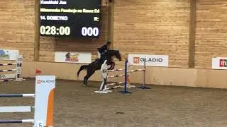 Horse for sale!!! Junior, show jumping!!!