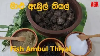 මාළු ඇඹුල් තියල්  - Fish Ambul Thiyal -Episode 100