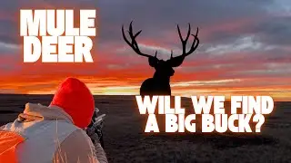 South Dakota MULE DEER hunt | what&rsquo;s it like ? 