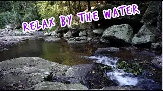 [4K] #Queensland water sounds & rainforest  (mount tamborine rainforest)