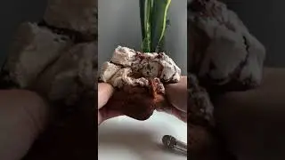 Best satisfying video slime asmr / Слайм расслабляющее видео асмр/ TikTok compilation slime asmr 107