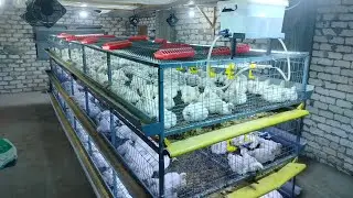 اليوم 25 واشتغل بالمعقول تكسب مع مصطفى الجمال