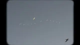 SEX AFTER DEATH - Мысли и мусор