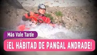 El hábitad de Pangal Andrade - Más Vale Tarde 2016