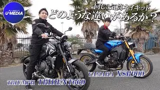 「YAMAHA XSR900」と「TRIUMPH トライデント660」同じ3気筒ネイキッド・簡単に違いをチェック！ユーメディアTV