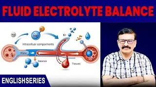 Fluid Electrolyte Balance l Dr. Anwar Shahzad  l