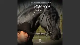 Paraya y Paka Cuadra Alemaycam (Alejo Aguilar)