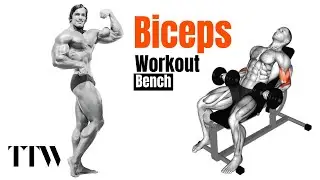 Best Biceps Workout With Dumbbells And Bench #bicepsworkout