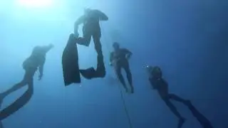 VORTEX FREEDIVING AT DEJA BLUE