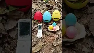 Finding millipede and eggs and snails #snail #millipede #snails