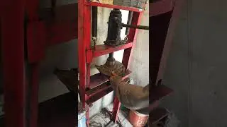 BALERO MASA