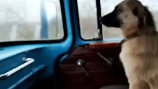 Едим с напарником / архив 2020 / ЗИЛ 130 / Сима