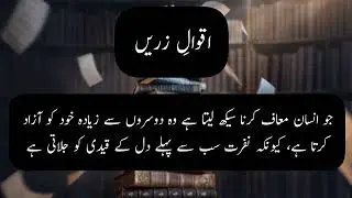 Aqwal e Zareen In Urdu | Urdu Quotes | #Quotes #Aqwal #ayazquotes