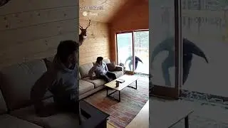 Jake paul breaks into a house screaming I'm geeked 😂😂 #shorts #funny #jakepaul #aivideo