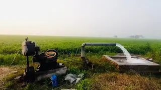 Village Vlog | Village Life | Village Life Routine | Village Peace