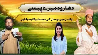 ایک دن کا چار ہزارہ چالے گئے