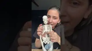 Skeletal System have 206 Bones+ 🩻Cartilages #medical #neet