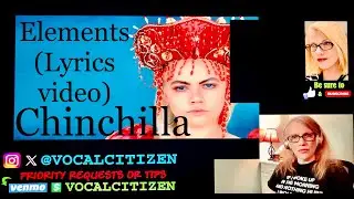 Chinchilla - 