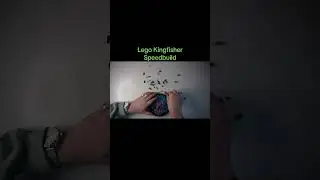 Lego Kingfisher Speedbuild #21342