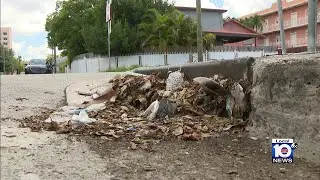 Garbage nightmare in Miami's Little Havana becomes 'constant battle'