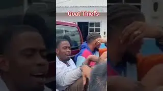 Jamaican Goat Thief's Caught by Police #Thief's #Goat