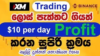 Trade කරලා හොයමු | Binance sinhala | XM trade sinhala for beginners