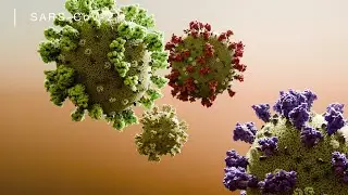 Pixozone 3D Medical Animation Reel | Mechanism of Action, Surgical, Pharma & Device Visualizations