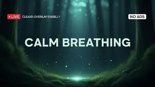 Slow Breathing Rhythm 4-7-8 Pattern to Stop Anxiety & Nervousness Fast (528Hz)