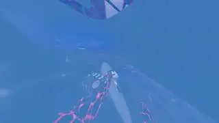 GT with flakey donut | Powered by LIV