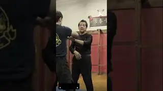 Wooden Dummy Application | Wing Chun