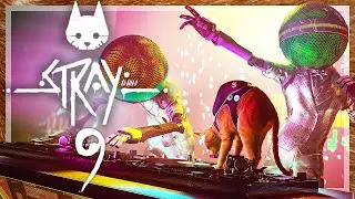 STRAY # 09 🐈 Disco Pogo! Dingelingeling!