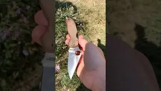 Spyderco para 3 #spyderco