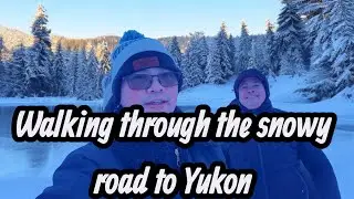 Walking through the snowy road to Yukon  #AlaskaLife WinterVibes #SnowTrail #TravelDiaries