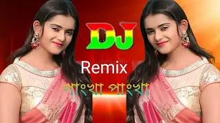 Pankha Pankha Dj song 2024 পাংখা পাংখা ডিজে গান। Dj sayeed remix