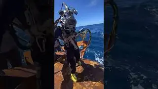Commercial Diving at its Finest 🤩 #shorts