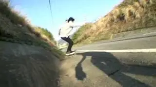 go vegan skateboarding taeco
