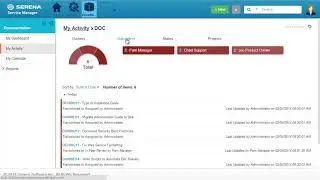Micro Focus SBM   Work Center Activity View Demo