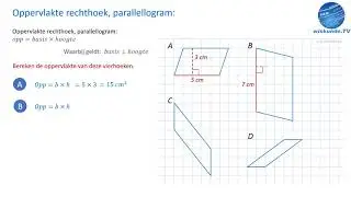 oppervlakte vierhoeken berekenen - wiskunde tv