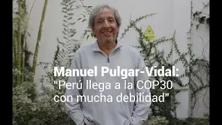 Почему COP30 важна для Южной Америки и Перу? Отвечает Мануэль Пульгар-Видаль.