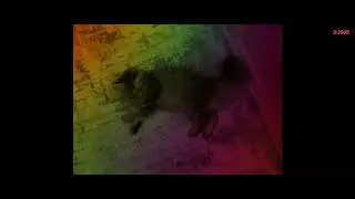 MONTAGEM HIG&Agrave;NIA PORTIE (Super Slowed) 