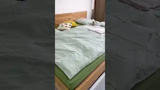 Schlafzimmerinspo: Bett Vollholz Eiche mit Rahmen in Stahl