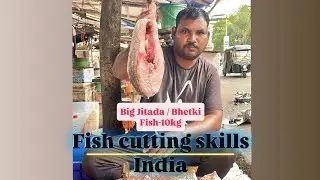 Big fish cutting skills India | big jitada | Bhetki fish 10 kg