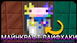 ТОП 3 МАЙНКРАФТ ЛАЙФХАКОВ!|Бессмертный зомби?!